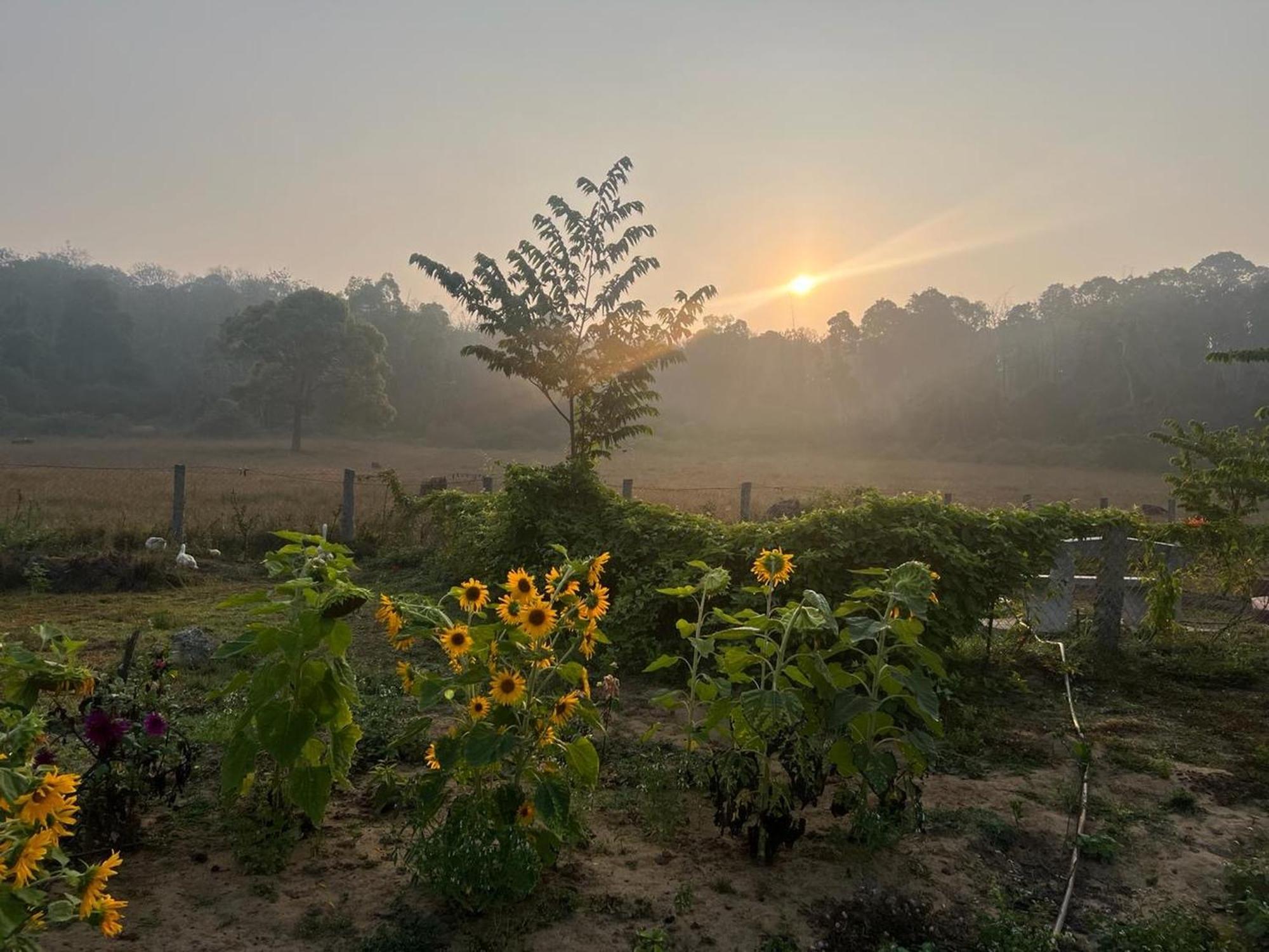 The Deer Meadows Villa Mudumalai Exterior photo